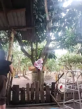 Snapshot of BigBoobs186 chatting on October 15, 9:12 am BigBoobs186 online show from October 15, 9:12 am