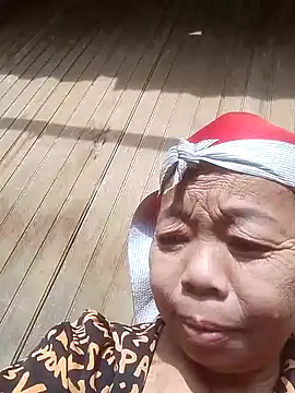 VangLe73 online show from November 14, 7:30 am