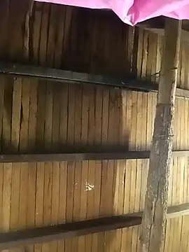 teluguvarsha online show from April 9, 8:42 am