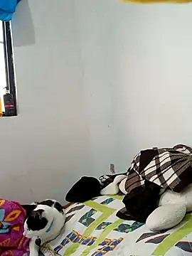 yaneth  online show from November 8, 3:50 pm