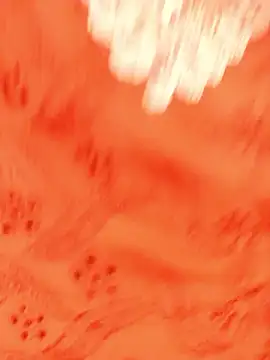 Hot malika19 online show from April 12, 1:03 pm