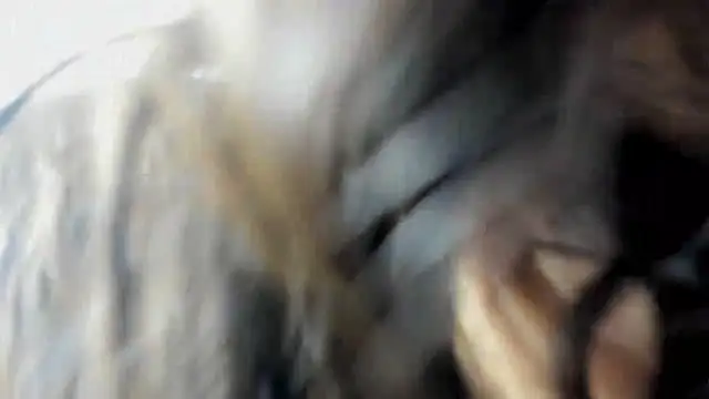 poliasm online show from October 27, 9:09 pm