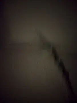 Pillate069 online show from September 16, 12:18 am