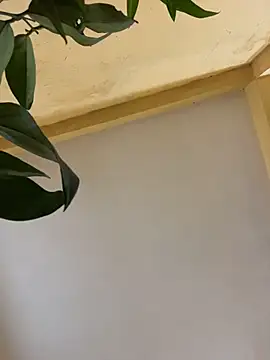 femboyslqueen online show from December 1, 6:39 am