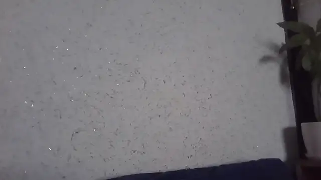 fox red lady7 online show from March 31, 7:19 am