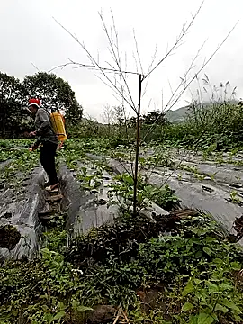 Exembin online show from October 24, 1:56 am