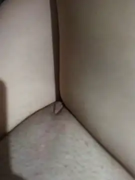 lolizimha online show from November 20, 11:50 pm