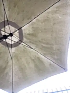 Sallem Pink online show from February 2, 11:42 am