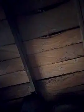 optra34 online show from October 7, 9:03 am