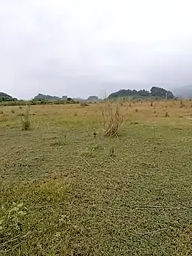 Snapshot of asian_2k chatting on October 31, 2:02 am asian 2k online show from October 31, 2:02 am