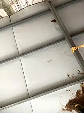 Sao min online show from October 31, 6:39 am