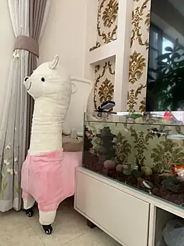 baobao1103 online show from October 16, 6:49 am