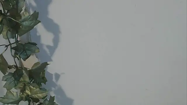 angelainparis28 online show from October 5, 8:08 am