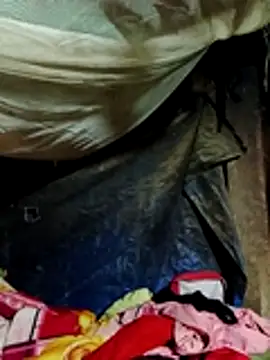 cicnci online show from November 7, 10:54 am