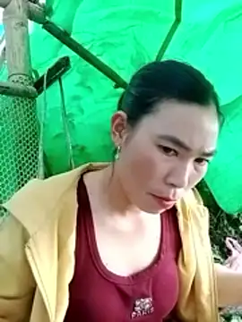 cicnci online show from November 5, 1:33 am