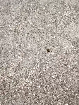 Snapshot of sarahkat86 chatting on September 23, 4:38 pm sarahkat86 online show from September 23, 4:38 pm