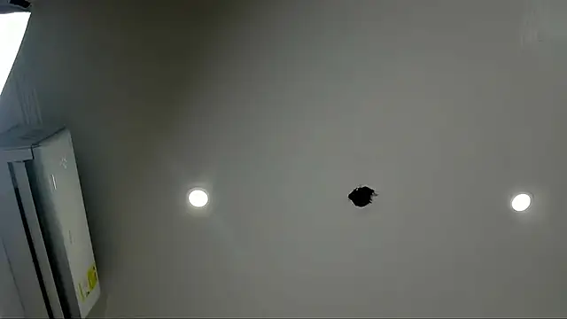 alice  brow online show from September 23, 1:31 pm