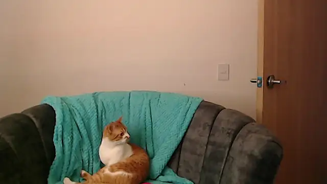 -Ivonny online show from October 11, 9:06 pm