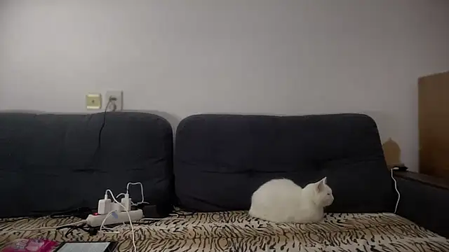 Rosea Champagne online show from October 24, 5:42 pm