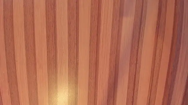 Snapshot of Mila_grace_ chatting on October 21, 6:34 pm Mila grace  online show from October 21, 6:34 pm