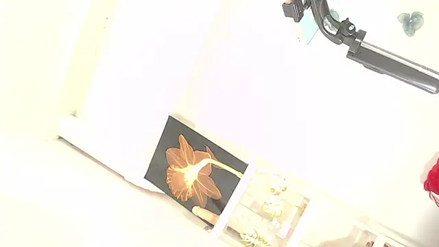 WildAsianHorseDICKts online show from December 21, 1:59 pm