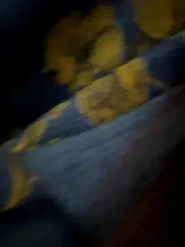 Snapshot of xiaoqiao_ss chatting on October 6, 12:00 pm xiaoqiao ss online show from October 6, 12:00 pm