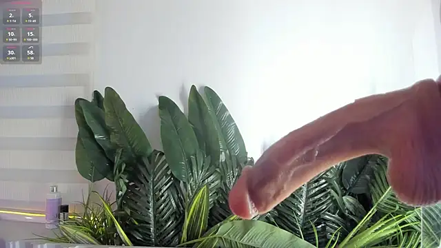 miamonroee  online show from November 16, 11:43 am