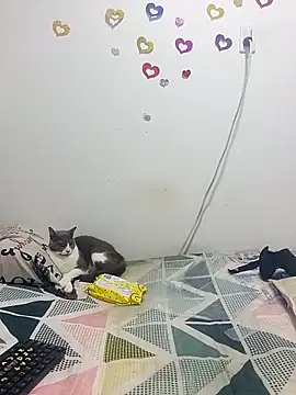 Snapshot of tany90 chatting on October 31, 11:20 pm tany90 online show from October 31, 11:20 pm