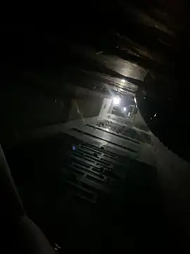   BabyShowPublic   online show from April 20, 3:48 pm