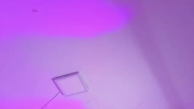 Catherine Smith  online show from September 18, 11:31 am