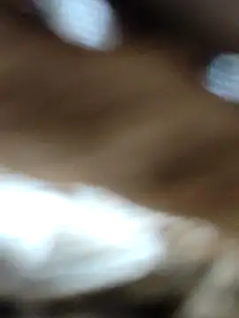 Snapshot of Hot-ilaiy chatting on September 21, 12:15 pm Hot-ilaiy online show from September 21, 12:15 pm