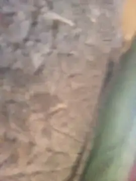 Freakysluttt online show from October 2, 2:55 pm