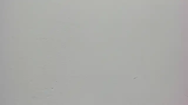 Snapshot of Saammy_17 chatting on September 26, 9:12 pm Saammy 17 online show from September 26, 9:12 pm