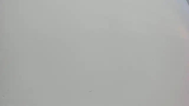 Snapshot of Saammy_17 chatting on October 1, 8:03 pm Saammy 17 online show from October 1, 8:03 pm