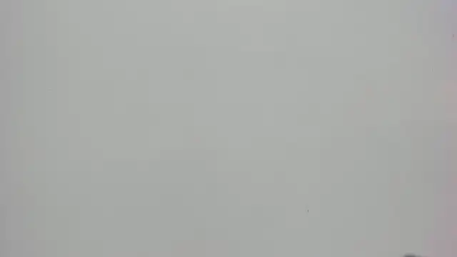 Snapshot of Saammy_17 chatting on October 7, 8:02 pm Saammy 17 online show from October 7, 8:02 pm