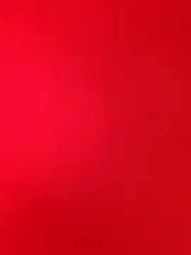 Tamilreethu online show from October 10, 8:30 am