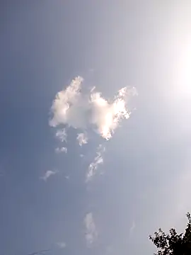 Snapshot of Neelamt12 chatting on September 24, 11:42 am Neelamt12 online show from September 24, 11:42 am