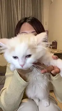 misa mo online show from March 1, 1:00 pm