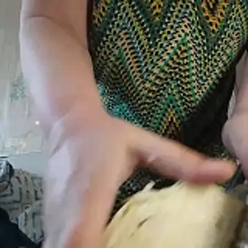 Tupo070481 online show from February 19, 9:53 am