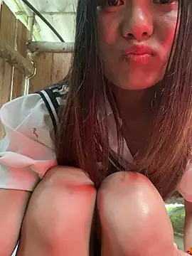 PhanHaa online show from November 14, 12:43 am