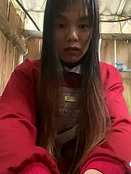 PhanHaa online show from January 8, 12:58 am