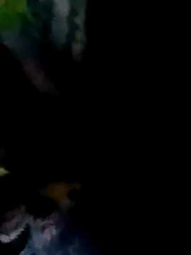 TINASONI online show from November 5, 1:55 am