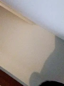 Andrez5041 online show from October 14, 4:04 am