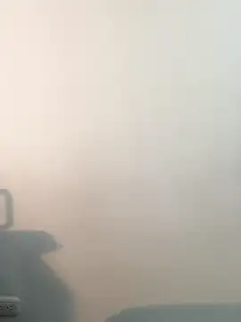 BrendaCrean online show from October 8, 4:11 pm