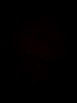 Jann Riya333 online show from February 1, 1:26 am