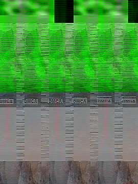 Snapshot of Rinki_bhabhiji chatting on October 31, 4:44 pm Rinki bhabhiji online show from October 31, 4:44 pm