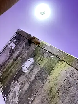 Snapshot of Melody_rouxxx chatting on November 1, 12:26 am Melody rouxxx online show from November 1, 12:26 am