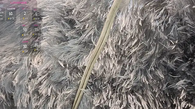 Snapshot of mariangellive chatting on October 10, 3:55 am mariangellive online show from October 10, 3:55 am