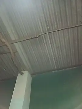 Hot-honi online show from October 9, 10:58 pm