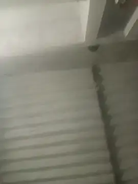 Snapshot of Payal950 chatting on October 18, 3:15 pm Payal950 online show from October 18, 3:15 pm